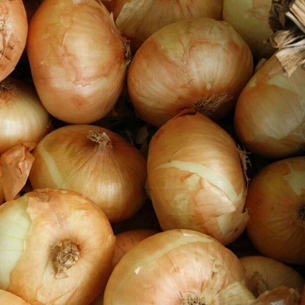 onion