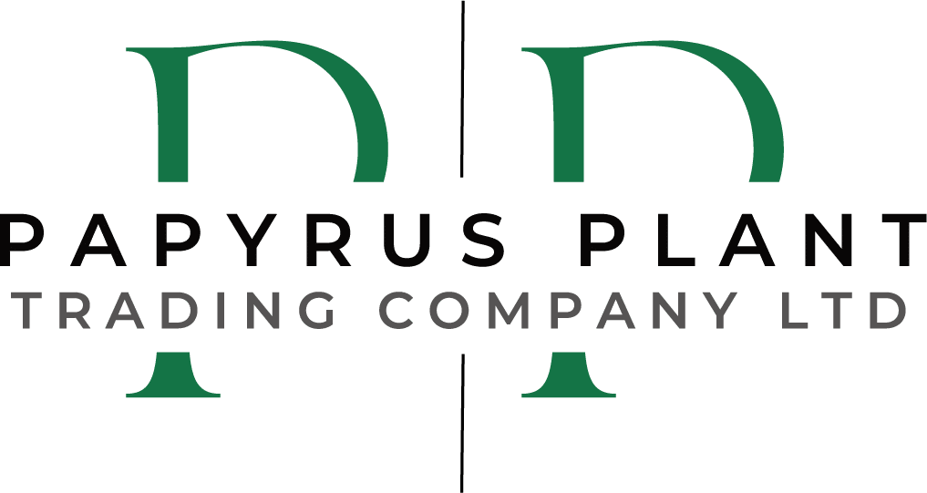 papyrus plant logo