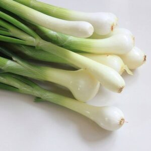 spring onion