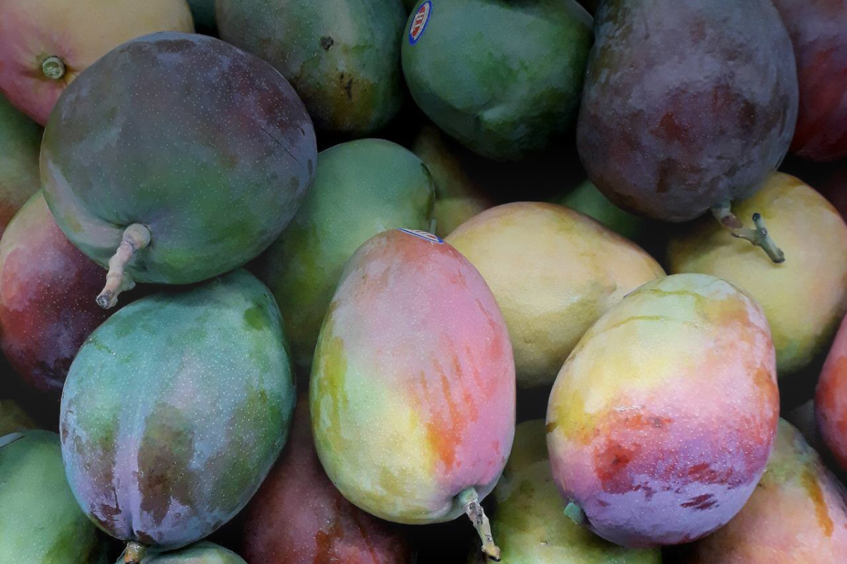 Mango from Papyrus Plant